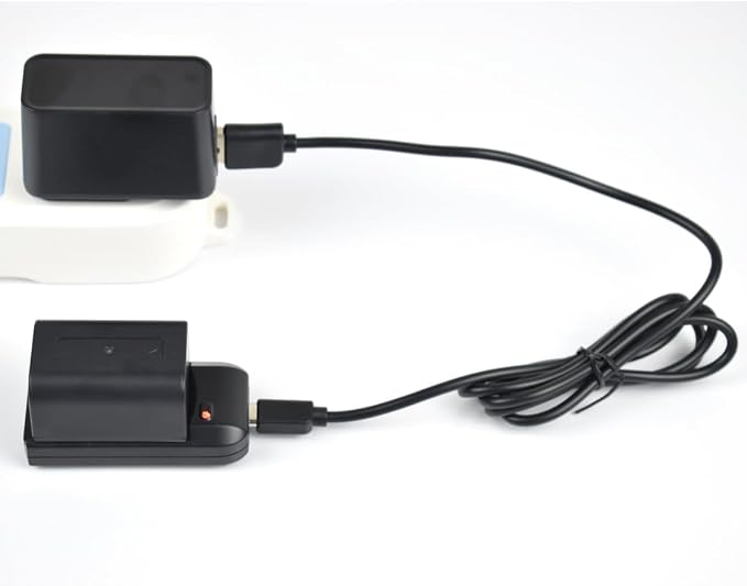 NP-FV5 Battery Charger with Charging Plug and USB Cable - Image 9