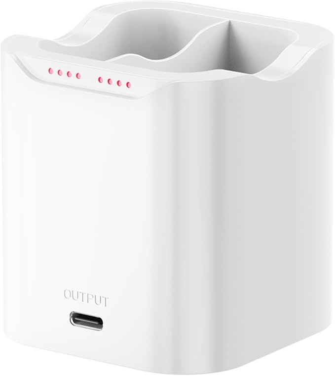 Charging Station for Ring Quick Release Battery Pack, 24W Fast Charger for by UEVITO