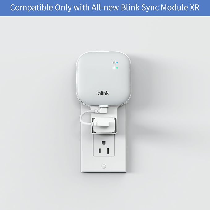 256GB MicroSD Card and Sync Module XR Mount, No-Drilling Mount - Image 2