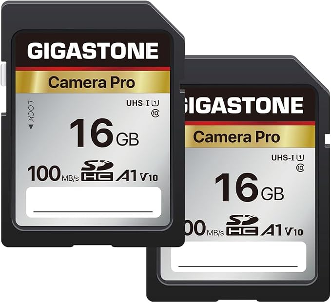 【5-Years Data Recovery】 GIGASTONE 16GB SD Card 2-Pack, Camera Pro, UHS-I A1 V10 by Gigastone