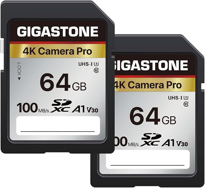 【5-Years Data Recovery】 GIGASTONE 64GB SD Card 2-Pack, 4K Camera Pro, UHS-I A1 by Gigastone