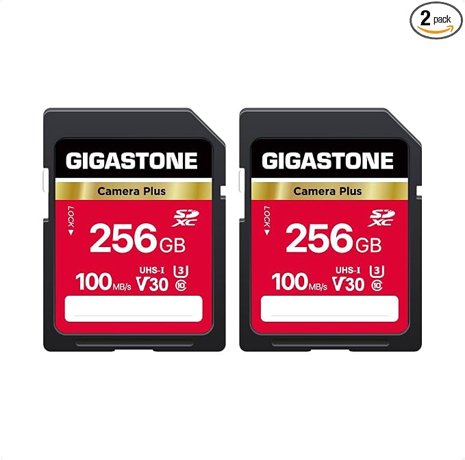 GIGASTONE 256GB SD Card 2-Pack, Camera Plus, UHS-I V30 SDXC Memory Card High by Gigastone