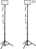 Amazon Basics 2-Pack LED Studio Lights by AmazonBasics