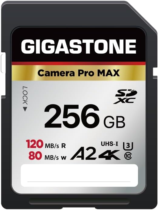 【5-Years Data Recovery】 GIGASTONE 256GB SD Card, 4K Camera Pro MAX, UHS-I A2 4K by Gigastone