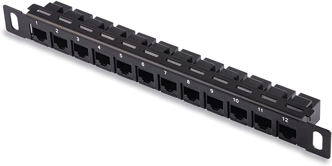 GeeekPi 12 Port Patch Panel, 10inch 0.5U CAT6 Network Patch Panel by GeeekPi