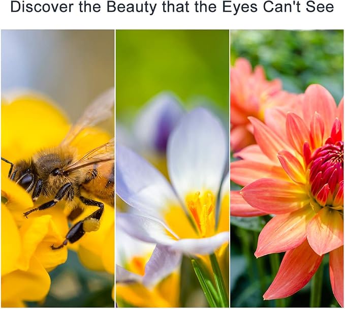 82mm Close-up Filter Kit 4 Pieces Macro Filter Accessory Close-up Lens Filter - Image 7