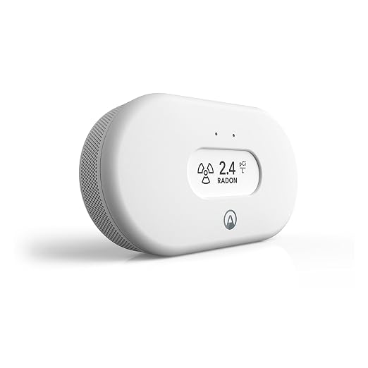 Airthings 2989 View Radon - Image 2