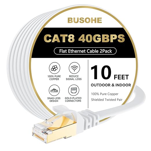 BUSOHE Cat 8 Ethernet Cable 10 FT 2Pack, 40Gbps 2000Mhz High Speed Flat Cat8 by BUSOHE
