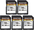 【5-Years Data Recovery】 GIGASTONE 16GB SD Card 5-Pack, Camera Pro, UHS-I A1 V10 by Gigastone