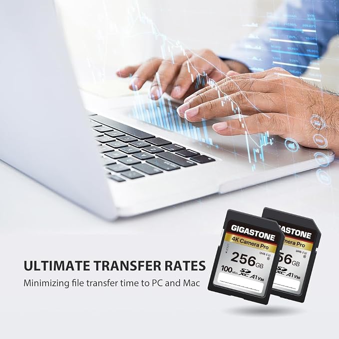 【5-Years Data Recovery】 GIGASTONE 256GB SD Card 2-Pack, 4K Camera Pro, UHS-I A1 - Image 6