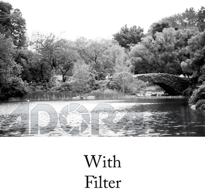 Tiffen 77mm 25 Filter - Image 3