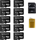 Pack of 10 Micro SD Card 1GB Flash Memory Card C4 by Cloudisk