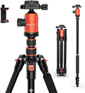 GEEKOTO 77'' Aluminum Camera Stand & Monopod, Foldable Travel Gear by GEEKOTO