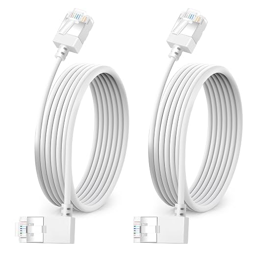 Ultra Slim 90° Degree Cat 6A Ethernet Cable Left Angled 1.6 Feet 2Pack by DUTEVOLNS