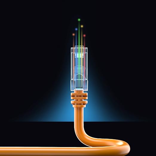 Maximm Cat 6 Ethernet Cable - 8 ft - Image 8