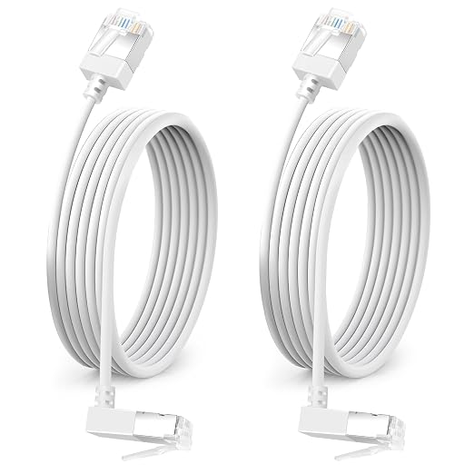 90° Downward Angled Cat 6A Ethernet Ultra Slim Cable 30 Feet 2Pack, Flexible by DUTEVOLNS