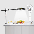 UBeesize 12" Ring Light with Overhead Phone Mount, LED Ring Light with Phone by UBeesize