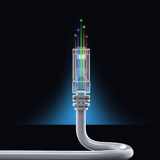 Maximm Cat 6 Ethernet Cable - 12 ft - Image 8