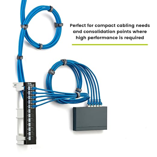 TRUE CABLE Cat6A Shielded 12-Port Blank Toolless Modular Keystone Patch Panel - Image 6