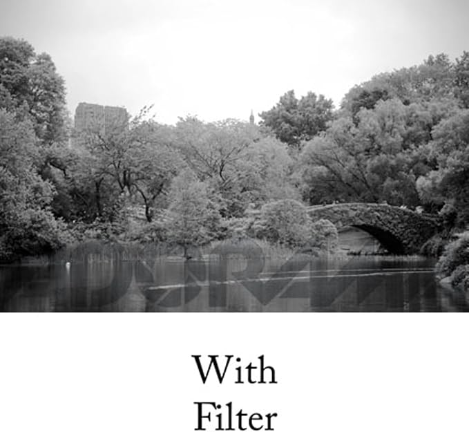 Tiffen 82mm 21 Filter - Image 3