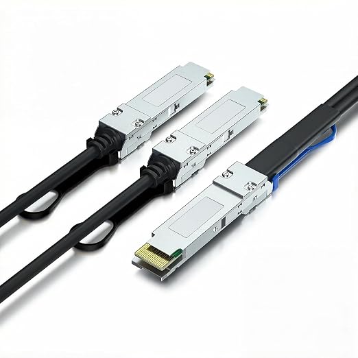 400G QSFP-DD to 2X 200G QSFP56 Twinax Breakout Copper Passive DAC Cable by 10Gtek