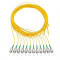 Elfcam® - Fiber Optic Pigtail 12 Fibers Singlemode Simplex FCA 9/125um OS2 by Fibersolutionspecialist