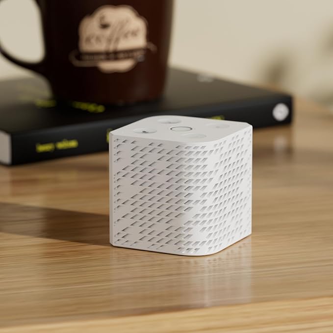 Third Reality Voice/Music Assistant Dev Edition – Preloaded - Image 2