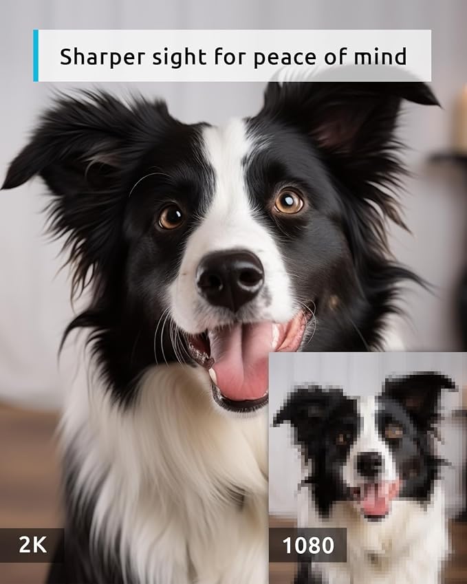 blurams 5G Pet Camera 2K, 360° PTZ Dog Camera - Image 2