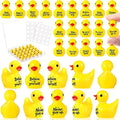 Skylety 60 Pcs Mini Resin Duck Back to School Office Gifts by Skylety