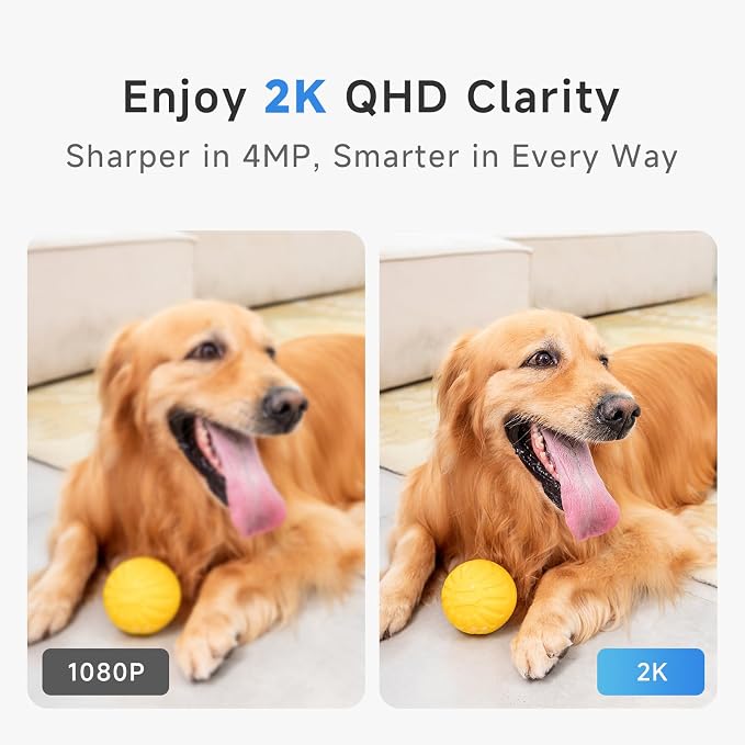 Noorio 2K Wired Security Camera Indoor, Pan/Tilt Pet Camera - Image 8
