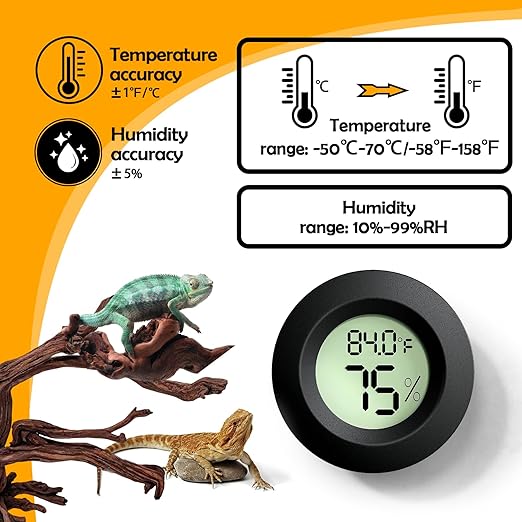 Reptile Tank Accessories, Jumping Spider, Leopard Gecko, Hermit Crab, Ball - Image 4