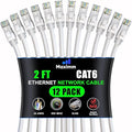 Maximm Cat 6 Ethernet Cable 2 Ft, Cat6 Cable, LAN Cable, Internet Cable by MaximmCable