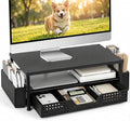 ECOLOVI Desk Organizer and Accessories, 2-Tier Computer Monitor Stand Rise by ECOLOVI