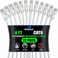 Maximm Cat 6 Ethernet Cable 4 Ft, Cat6 Cable, LAN Cable, Internet Cable by MaximmCable