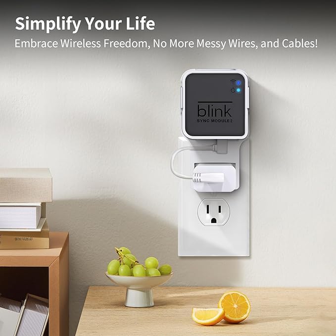 256GB Blink USB Flash Drive & Wall Mount - Image 3