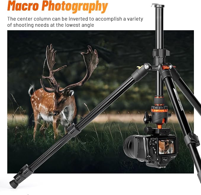JOILCAN 66" Camera Tripod, Travel Tripod - Image 6