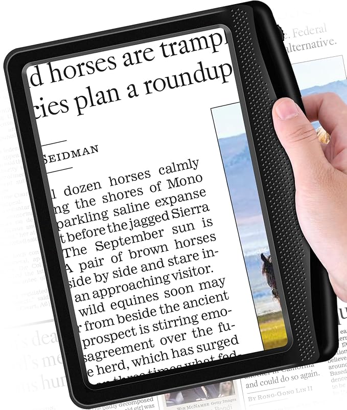 Rechargeable 5X Magnifying Glass by Shelepro