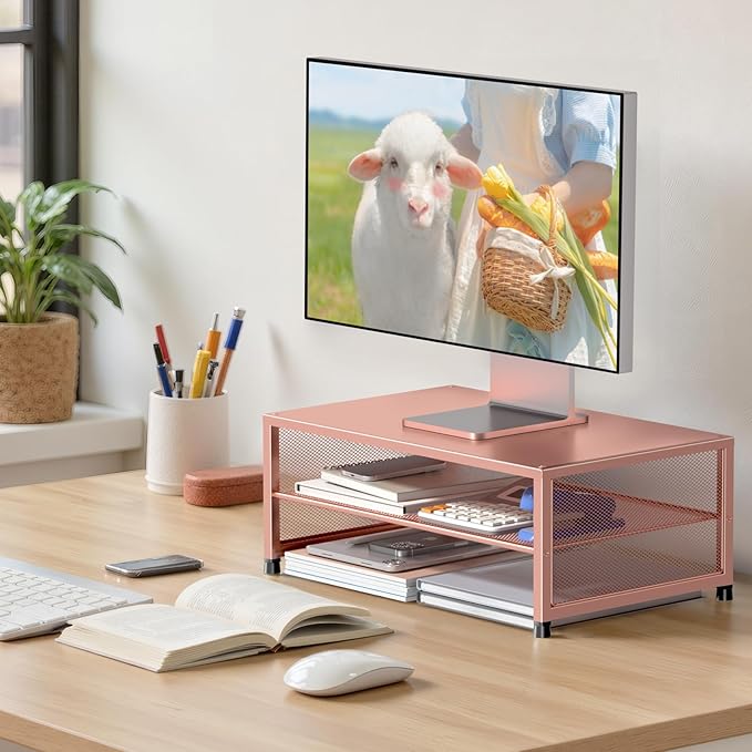 ECOLOVI 2-Tier Computer Monitor Stand Riser, Desk Organizer - Image 2