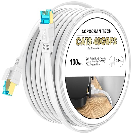 Cat 8 Ethernet Cable 100 FT, Heavy Duty High Speed 40Gbps 2000Mhz Internet by AOPOCKANTECHEthernetCables