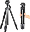 Fotopro Carbon Fiber Tripod 65 Inch Travel Tripod by Fotopro