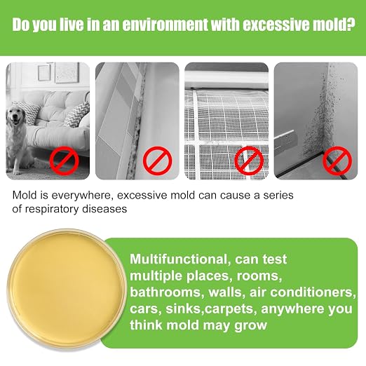 Mold Test Kit for Home - Image 2
