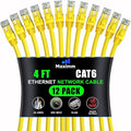 Maximm Cat 6 Ethernet Cable 4 Ft by MaximmCable