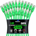 Maximm Cat 6 Ethernet Cable 1 ft by MaximmCable