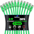 Maximm Cat 6 Ethernet Cable - 3 ft - High-Speed LAN by MaximmCable