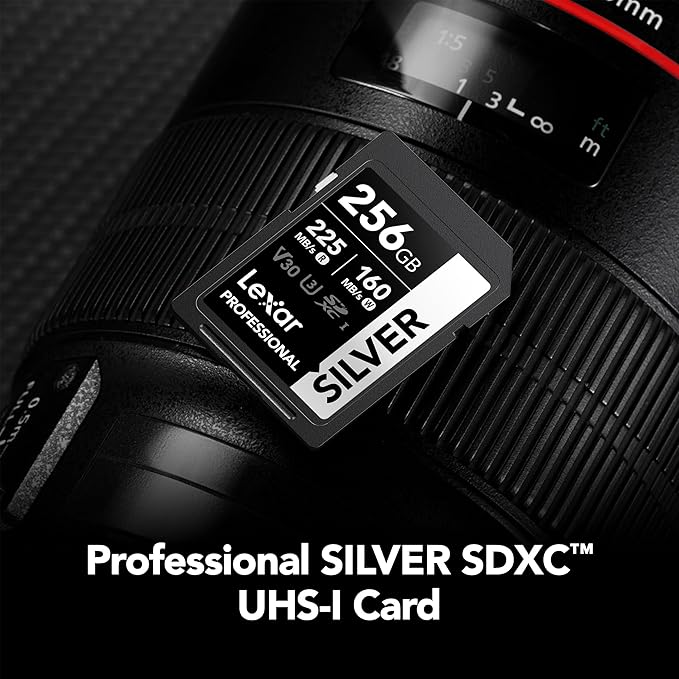 Lexar 256GB Professional Silver SD Card, - Image 2