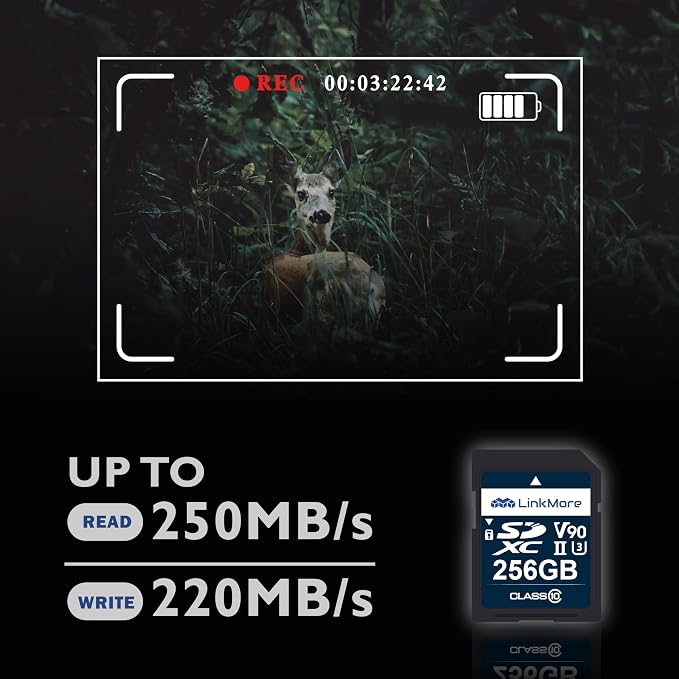 LinkMore XV29 256GB SDXC UHS-II Card UHS-II SD Card, SD Card - Image 3