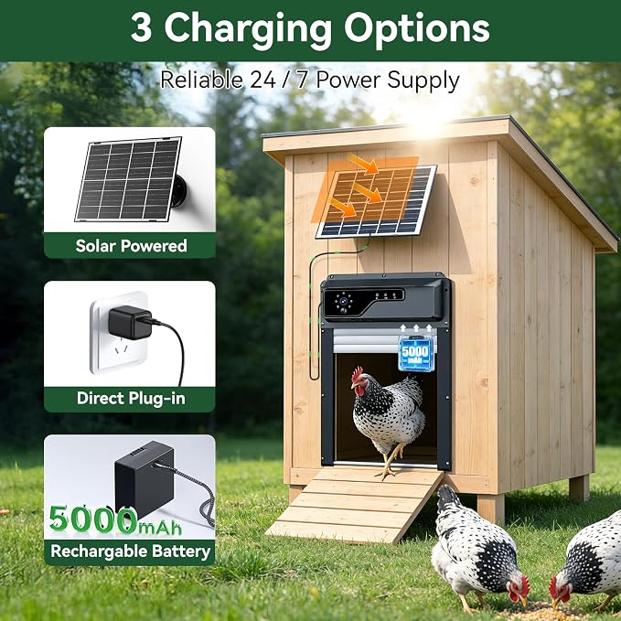 Automatic Chicken Coop Door - Image 5