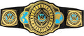Mattel WWE Championship Title, Intercontinental Champion, Kid-Sized Belt by Mattel