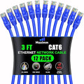 Maximm Cat 6 Ethernet Cable 3 Ft, Cat6 Cable, LAN Cable, Internet Cable by MaximmCable