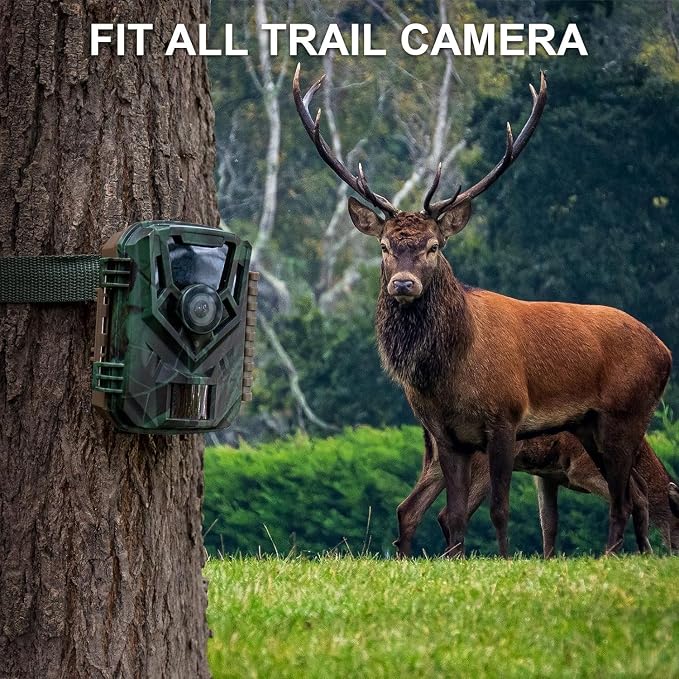 2 Pack Heavy Duty Trail Camera Straps 440LBS, Upgraded Lockable Tie Down Straps - Image 6